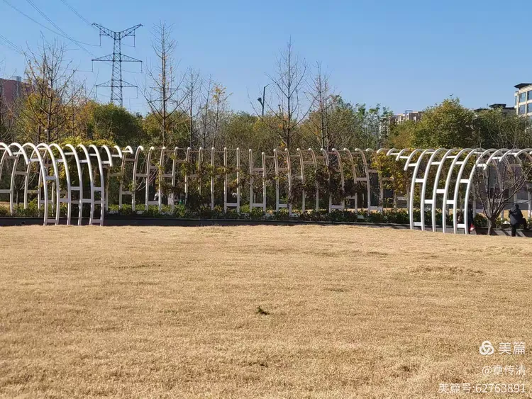 冬游曲江花影公园